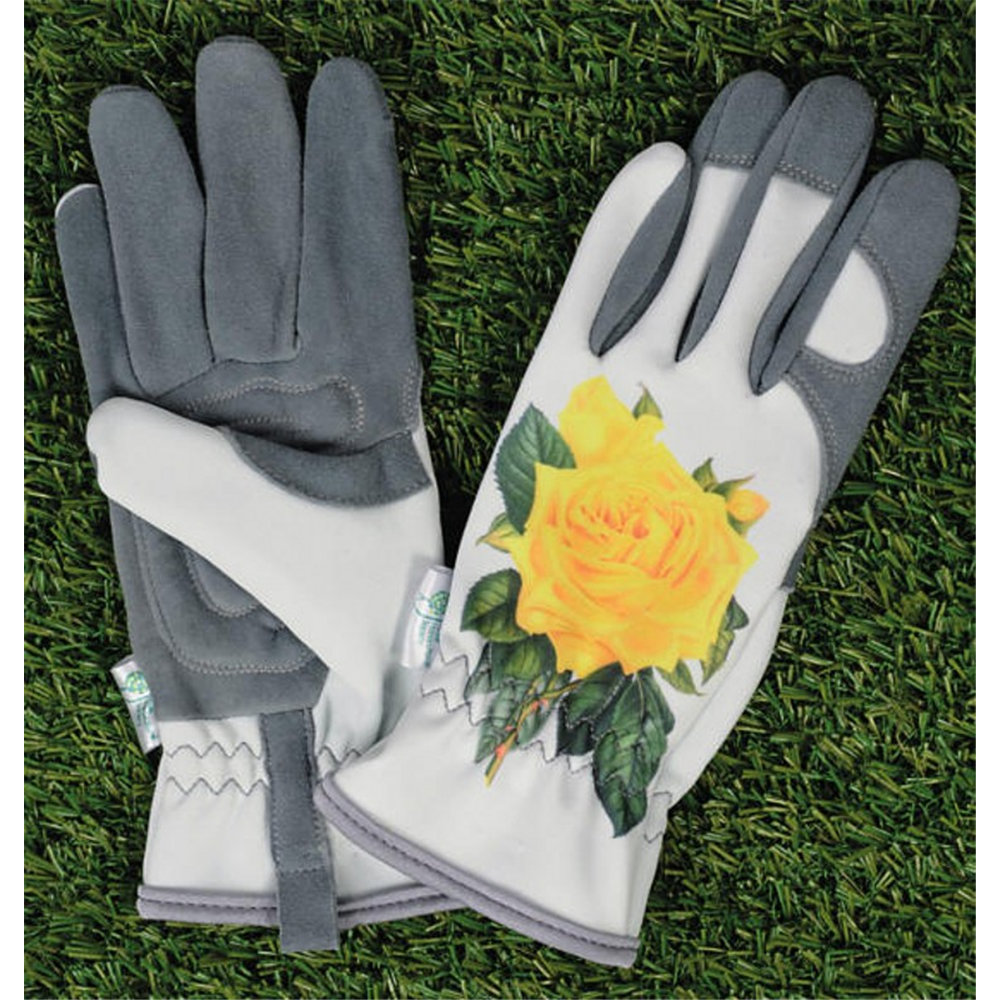 Rhs Glove Hampton Waterperry Gardens Oxfordshire Garden Centre, Buy Plants Online, Gardening